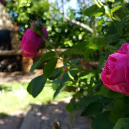 La Fragua Casa De Cuento